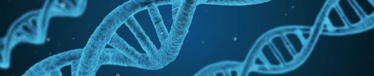 El Papel del ADN en la Salud Dental