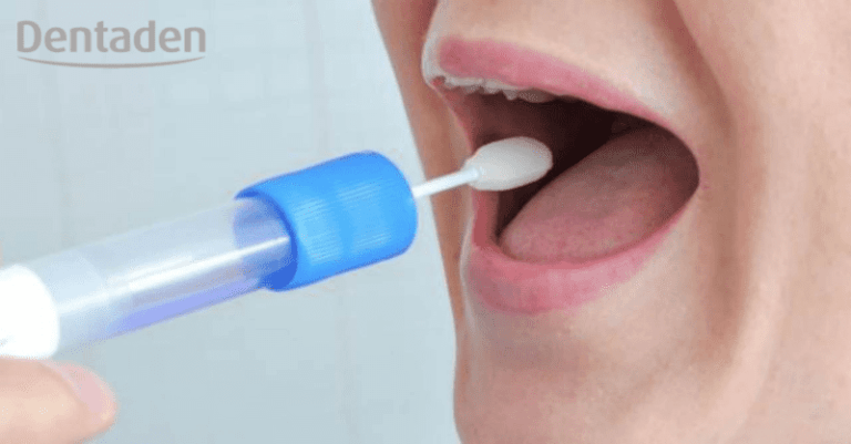 Qué es la saliva y cuál es su función