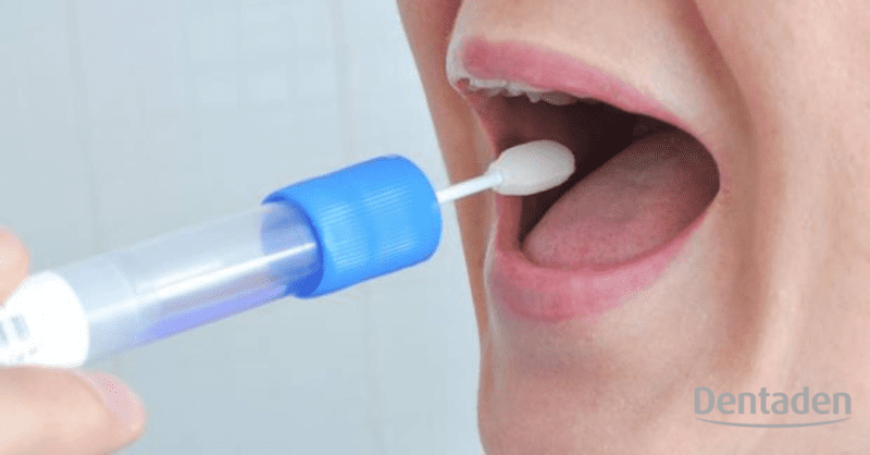 para qué sirve la saliva