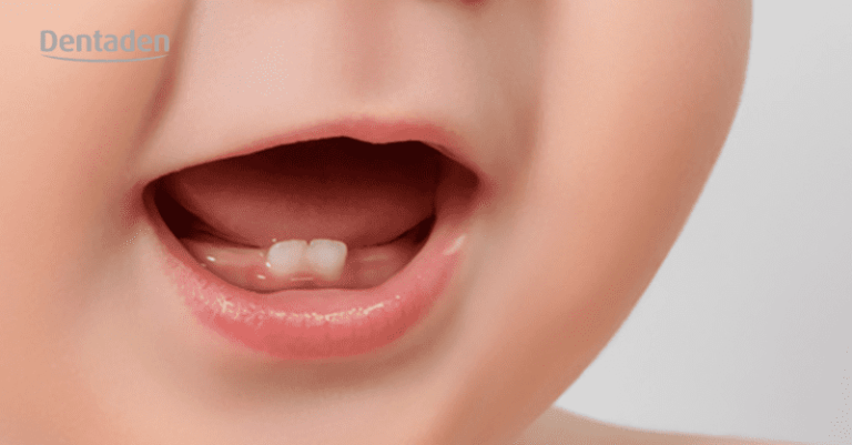 Cuándo salen los dientes